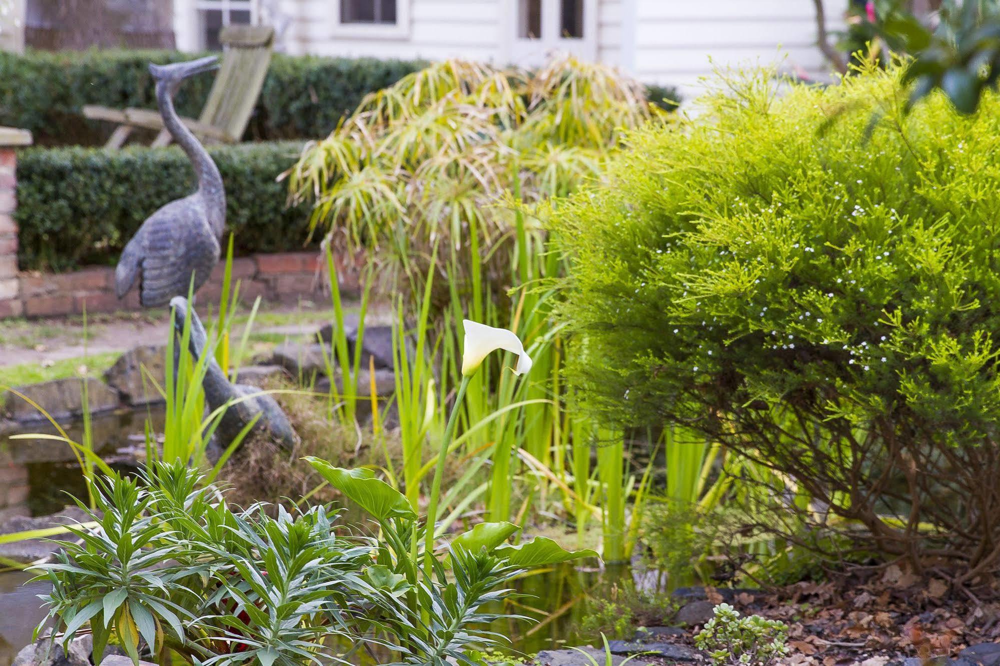 Glen Isla House Bed & Breakfast Phillip Island Cowes Eksteriør bilde